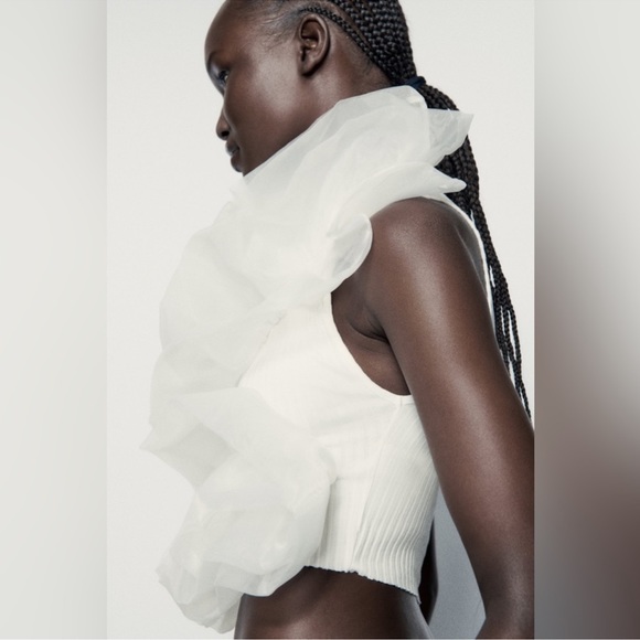 Zara Asymmetrical Organza Top - Picture 6 of 14